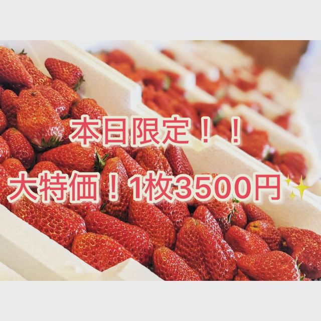 本日限定！大特価🍓🍓
トレーにいっぱいイチゴが入って3500円😳😳
めちゃめちゃ✨お得✨
普段よりも大幅に安くなってます！

数にも限りがあるので
欲しい方はお早めに！！😋😋😋